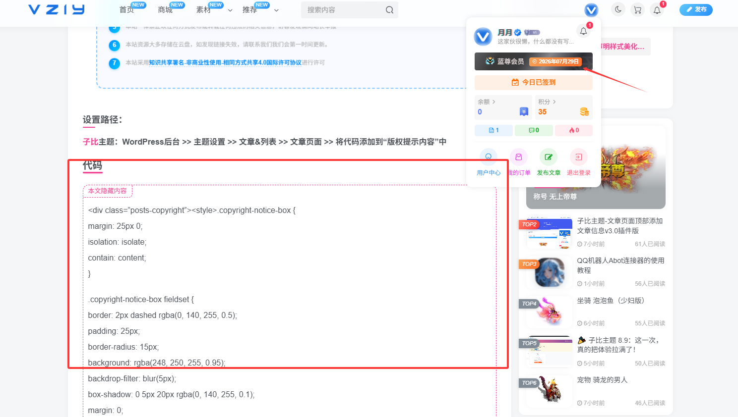 子比主题 – 会员免评论查看功能-微资源